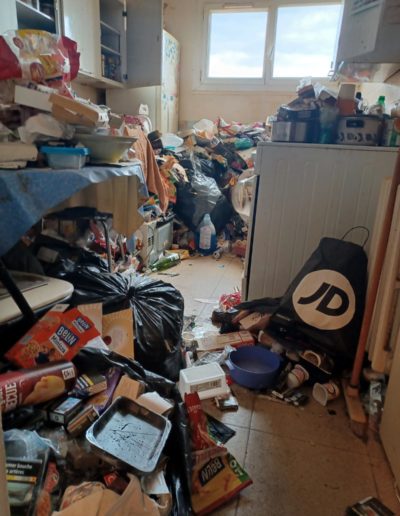 nettoyage logement syndrome diogène paris normandie